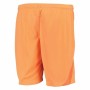 Pantaloncini Sportivi per Bambini Nike Atlético Madrid Arancio | Tienda24 - Global Online Shop Tienda24.eu