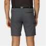 Short de Sport Regatta Xert StrShort III Gris Montagne de Regatta, Shorts et bermudas - Réf : S64110041, Prix : 43,02 €, Remi...