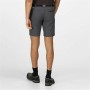 Short de Sport Regatta Xert StrShort III Gris Montagne de Regatta, Shorts et bermudas - Réf : S64110041, Prix : 43,02 €, Remi...