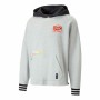 Sudadera con Capucha Unisex Puma Boroughs Gris de Puma, Hombre - Ref: S64112305, Precio: 59,64 €, Descuento: %