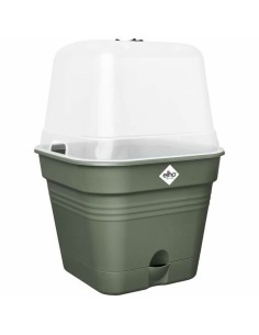 Self-watering flowerpot Stefanplast Cloe Brown Plastic 29 x 29 x 29 cm (6 Units) | Tienda24 Tienda24.eu