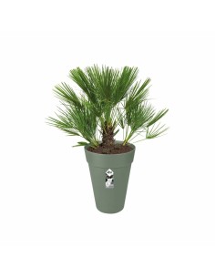 Plant pot Ecolux 40 cm | Tienda24 Tienda24.eu