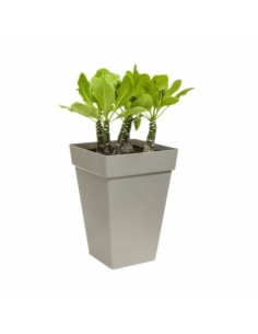 Pot Plastiken Blanc Plastique Carré Ø 38 cm | Tienda24 Tienda24.eu