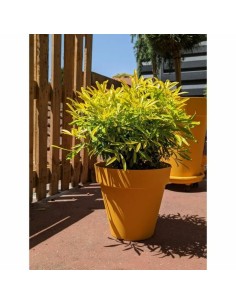 Plant pot Riviera Yellow Ø 60 cm by Riviera, Flower Pots - Ref: S7196804, Price: 78,52 €, Discount: %