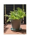 Pot Riviera Ø 60 cm Vert clair | Tienda24 Tienda24.eu