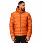 Chaqueta Deportiva para Hombre Regatta III Burnt Naranja | Tienda24 - Global Online Shop Tienda24.eu