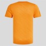 Unisex Kurzarm-T-Shirt Odlo Zeroweight Enginee Orange von Odlo, Herren - Ref: S64121311, Preis: 47,54 €, Rabatt: %