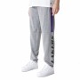 Adult Trousers New Era NBA LA Lakers Grey Men | Tienda24 - Global Online Shop Tienda24.eu