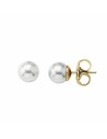 Ladies' Earrings Majorica 00322.01.1.000.701.1 | Tienda24 Tienda24.eu