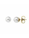 Ladies' Earrings Majorica 00324.01.1.000.701.1 | Tienda24 Tienda24.eu