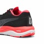 Chaussures de Running pour Adultes Puma Velocity Nitro 2 Noir de Puma, Femme - Réf : S64121986, Prix : 108,14 €, Remise : %