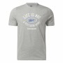 Men’s Short Sleeve T-Shirt Reebok GS Not Spectator Grey by Reebok, Shirts & Tees - Ref: S64126921, Price: 20,88 €, Discount: %