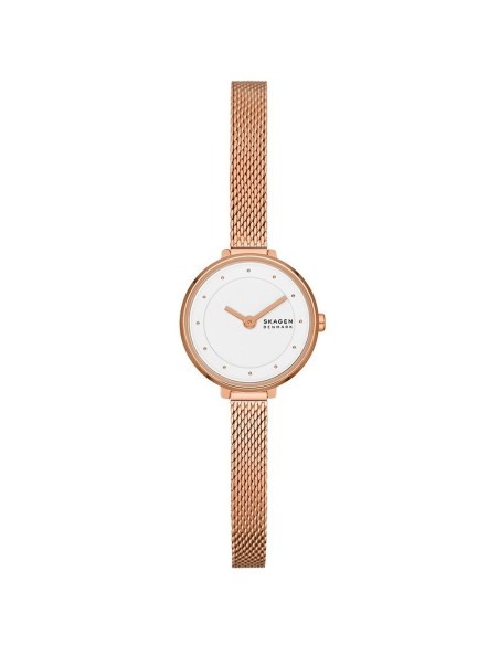 Reloj Mujer Skagen GITTE LILLE (Ø 22 mm) | Tienda24 Tienda24.eu