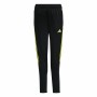 Pantalon de Sport pour Enfant Adidas Tiro 23 Club Noir | Tienda24 - Global Online Shop Tienda24.eu