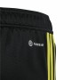 Kinder-Sporthosen Adidas Tiro 23 Club Schwarz | Tienda24 - Global Online Shop Tienda24.eu