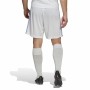 Calças de Treino de Futebol para Adultos Real Madrid C.F. First Kit 22/23 Branco Unissexo | Tienda24 - Global Online Shop Tienda24.eu