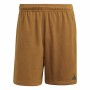 Pantalones Cortos Deportivos para Hombre Adidas Yoga Basert Dorado de Adidas, Ropa - Ref: S64127279, Precio: 29,87 €, Descuen...