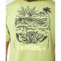 Herren Kurzarm-T-Shirt Rip Curl Surf Paradise FB | Tienda24 - Global Online Shop Tienda24.eu