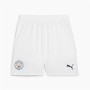 Adult Trousers Puma Manchester City 24/25 Men | Tienda24 - Global Online Shop Tienda24.eu