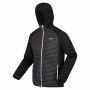 Casaco de Desporto para Homem Regatta Andreson VIII Hybrid | Tienda24 - Global Online Shop Tienda24.eu