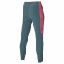 Pantalón para Adultos Mizuno Charge Printed Gris oscuro Hombre de Mizuno, Hombre - Ref: S64145311, Precio: 54,69 €, Descuento: %