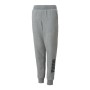 Pantalón de Chándal para Niños Puma Power Logo Gris de Puma, Niño - Ref: S6431309, Precio: 30,06 €, Descuento: %