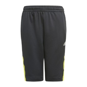 Calças Desportivas Infantis Adidas Predator Inspired Preto Futebol de Adidas, Menino - Ref: S6434686, Preço: 0,00 €, Desconto: %