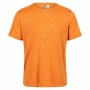 Herren Kurzarm-T-Shirt Regatta Regatta Fingal Edition Orange | Tienda24 - Global Online Shop Tienda24.eu