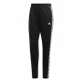 Pantaloncino da Allenamento Calcio per Adulti Adidas Tiro 19 Football Nero Donna | Tienda24 - Global Online Shop Tienda24.eu