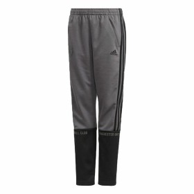 Pantalón Deportivo Infantil Adidas Manchester United Gris de Adidas, Niño - Ref: S6466771, Precio: 36,25 €, Descuento: %