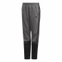 Pantalon de Sport pour Enfant Adidas Manchester United Gris de Adidas, Garçon - Réf : S6466771, Prix : 36,25 €, Remise : %