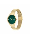 Montre Femme Tommy Hilfiger 1782668 | Tienda24 Tienda24.eu