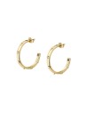 Ladies' Earrings Morellato SAUP09 | Tienda24 Tienda24.eu