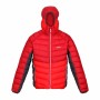 Men's Sports Jacket Regatta Harrock Red by Regatta, Warm clothing - Ref: S6470381, Price: 70,83 €, Discount: %