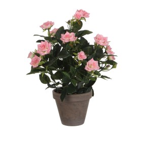 Decorative Plant Mica Decorations Rosal Ceramic PV