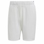 Short de Sport pour Homme Adidas Club Stetch Blanc | Tienda24 - Global Online Shop Tienda24.eu