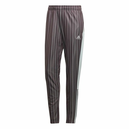 Lange Sporthose Adidas Braun Damen | Tienda24 - Global Online Shop Tienda24.eu