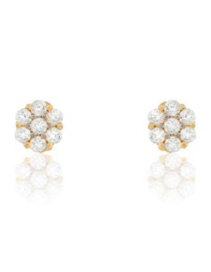 Boucles d´oreilles Femme Skagen SKJ1681040 | Tienda24 Tienda24.eu