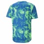 Camisola de Manga Curta Homem Puma Run Favorite Azul Verde de Puma, Homem - Ref: S6491217, Preço: 33,95 €, Desconto: %