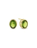 Ladies' Earrings New Bling 9NB-0720 | Tienda24 Tienda24.eu