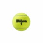 Bolas de Ténis Wilson Roland Garros All Court Amarelo de Wilson, Bolas - Ref: S6493695, Preço: 9,67 €, Desconto: %