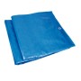 Protective Tarpaulin Ferrestock Impermeable 2 x 3 m Polyethylene by Ferrestock, Tent Tarps - Ref: S6500258, Price: 7,21 €, Di...