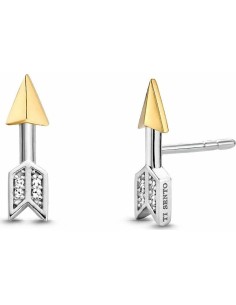 Ladies' Earrings Viceroy 2303E100-49 Sterling silver 925 | Tienda24 Tienda24.eu