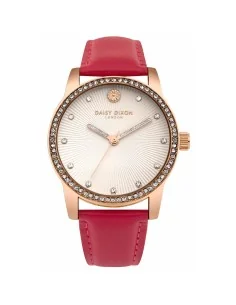 Damenuhr Chiara Ferragni R1953100509 (Ø 32 mm) | Tienda24 Tienda24.eu