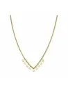 Ladies' Necklace Rosefield JTNMG-J444 40-45 cm | Tienda24 Tienda24.eu