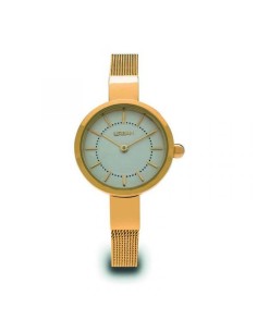 Ladies' Watch Daisy Dixon DD086CRG (Ø 36 mm) | Tienda24 Tienda24.eu