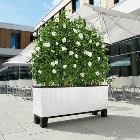 Blumentopf Lechuza Ø 50 cm Weiß Kunststoff rechteckig | Tienda24 - Global Online Shop Tienda24.eu