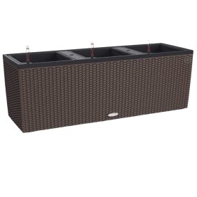 Plant pot EDA 13633 G.ANT SX3 Black | Tienda24 - Global Online Shop Tienda24.eu