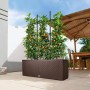 Self-watering planter Lechuza TRIO Cottage Black polypropylene 100 x 32,5 x 34,5 cm | Tienda24 - Global Online Shop Tienda24.eu