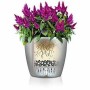 Pot auto-arrosant Lechuza Anthracite Ø 50 x 47 cm Plastique de Lechuza, Pots de fleurs - Réf : S71000384, Prix : 119,22 €, Re...